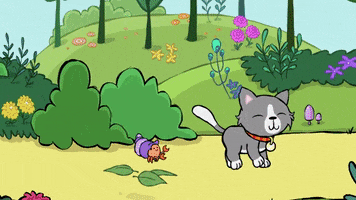 Cat GIF