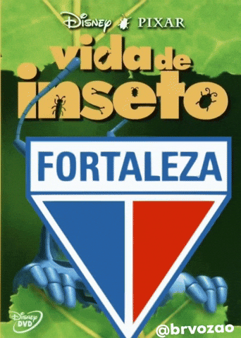Brvozao GIF