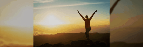 New World Allstar GIF