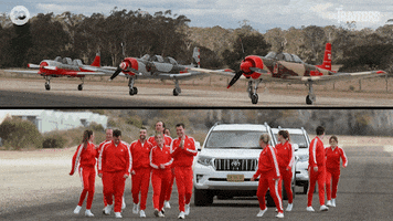 Excited Challenge GIF by The Traitors Australia