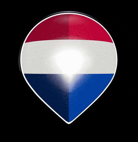 Remax Pin GIF by RE/MAX