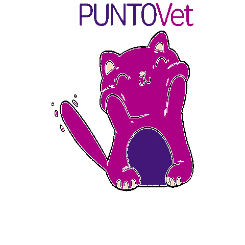 PuntoVet Sticker