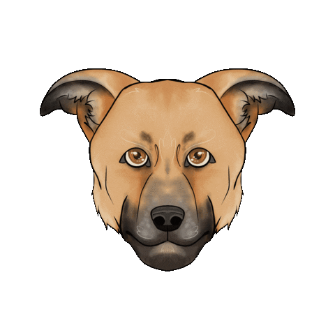 Dog Crossbreed Sticker