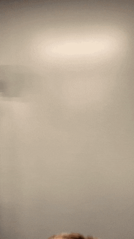 Todd Speciale GIF