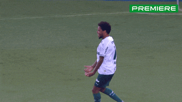 Serie A Adriano GIF by Canal Premiere