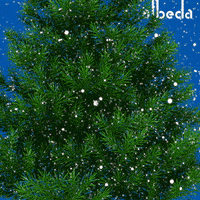 Merry Christmas Fun GIF by Albeda mbo