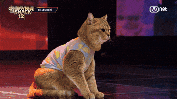 Show Me The Snack GIF