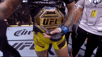 Alex Pereira Sport GIF by UFC