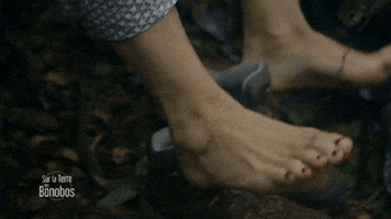 france-3 #france3tv GIF
