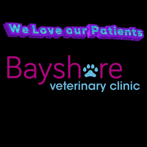 Bayshore Veterinary Clinic GIF