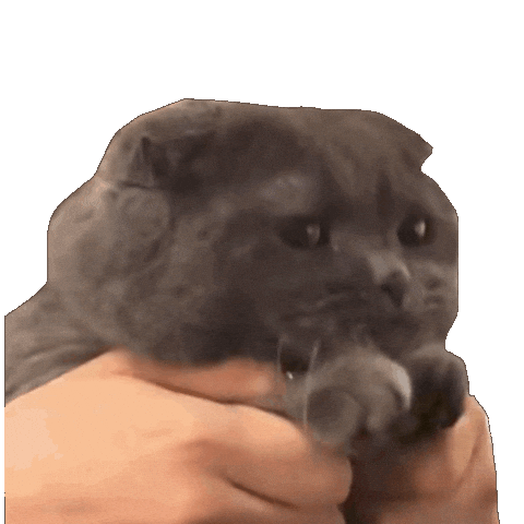 Gdragon Cat Sticker