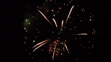Happy New Year Fireworks GIF by Squirrel Monkey