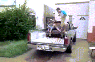 truck pickup GIF