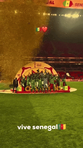 African Senegal GIF