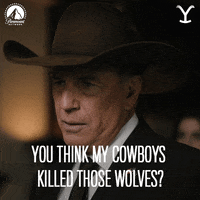 Paramount Network GIF by Yellowstone
