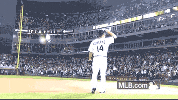 white sox baseball GIF by MLB