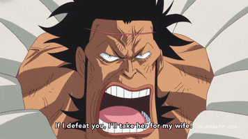 one piece baby 5 GIF by Funimation