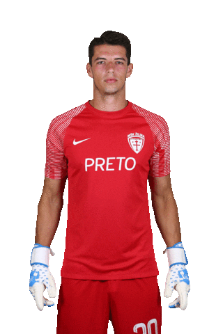 MŠK Žilina Sticker