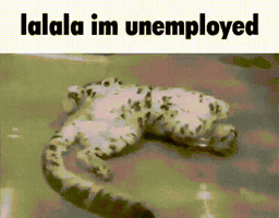 Snowcat GIF