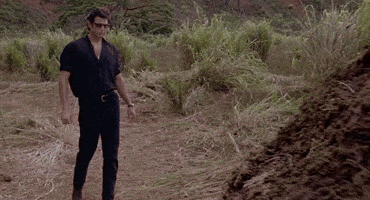 Shit GIF