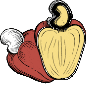 Nordeste Caju Sticker by Facheiro