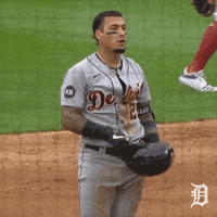 GIF tigers baseball mlb - animated GIF on GIFER