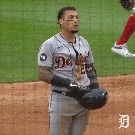 Major League Baseball Sport GIF by Detroit Tigers