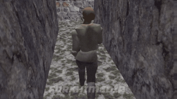 Mount And Blade Kale GIF