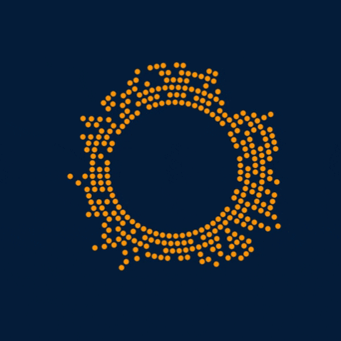 Ashoka México, Centroamérica y el Caribe GIF