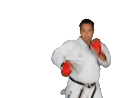 Isshoni Karate Sticker