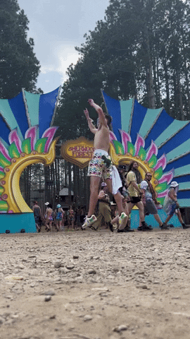 Electric Forest Sherwood Court GIF