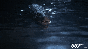 Roger Moore Crocodile GIF by James Bond 007
