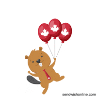 Canadian-flag GIFs - Get the best GIF on GIPHY