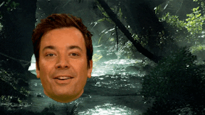 jimmy fallon
