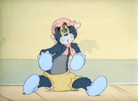 Cats GIF