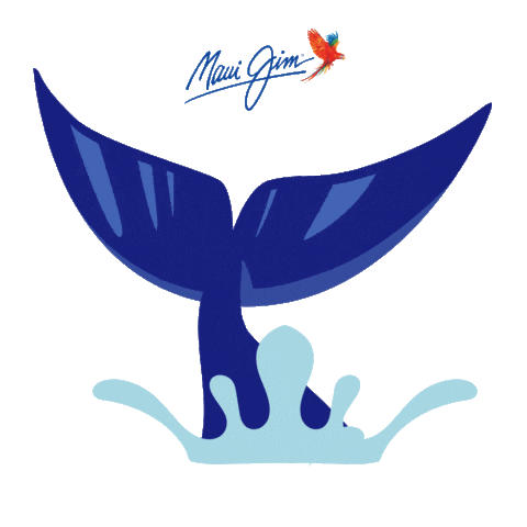 Summer Whale Sticker by Beautiful Destinations