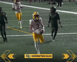 Celebration GIF