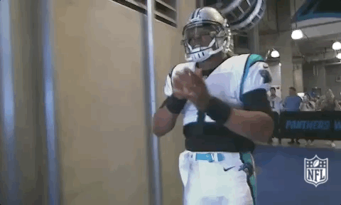 carolina panthers football GIF by NFL