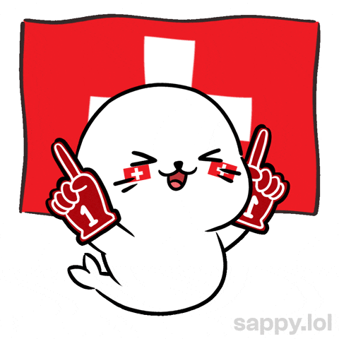 Lets Go Football GIF by Sappy Seals