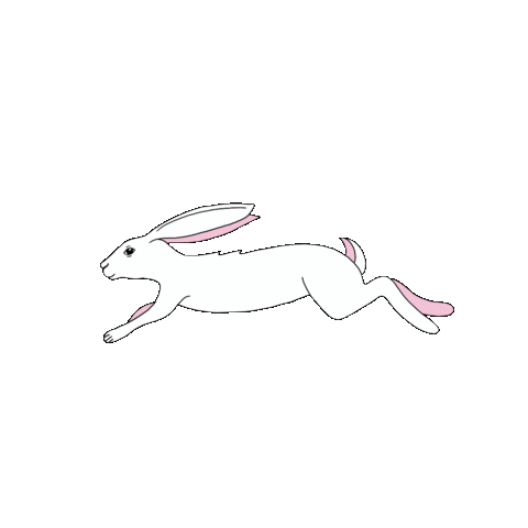 Illustration Sticker