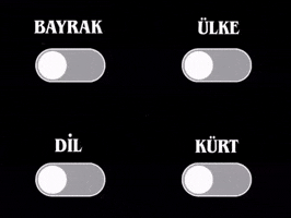 Kurdistan Barzani GIF