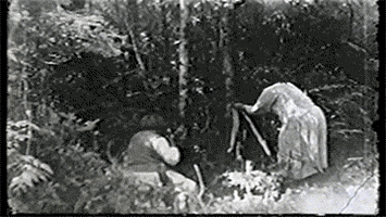 vintage cedar GIF by Canadian Museum of History