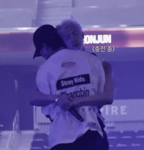 Stray Kids Hug GIF