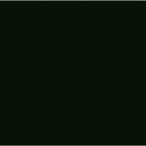 Boyboogie GIF by Squash Originals