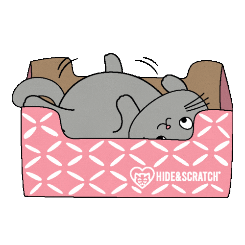 Cat If I Fits I Sits Sticker by Hide & Scratch