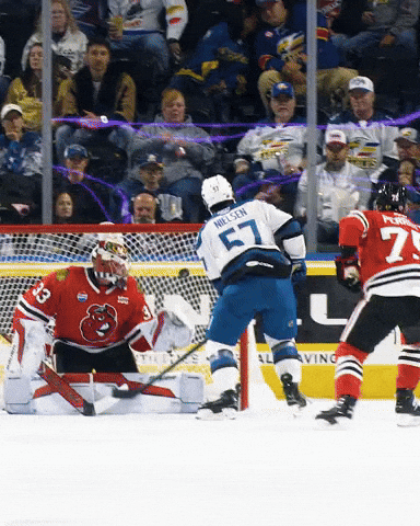 Hockey Ahl GIF by Colorado Eagles