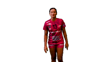 Handball Lfh Sticker by hbcam