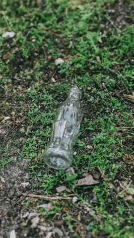 GIF by Ecovidrio