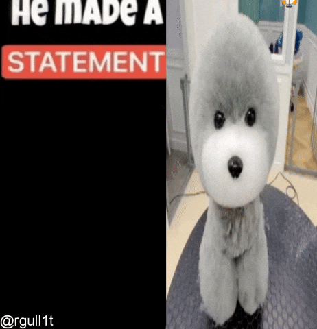 He Made A Statement GIF