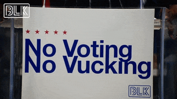 Vote Voting GIF by BLK